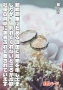 結婚直後にとある理由で離婚を申し出ましたが、 別れてくれないどころか次期社長の同期に執着されて愛されています