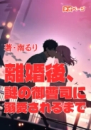 離婚後、謎の御曹司に溺愛されるまで