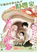 早稲田中退の私が財閥家のベビーシッターになったら、いつの間にか子どもの母になり社長の妻になり、老夫人の最愛になっていた件