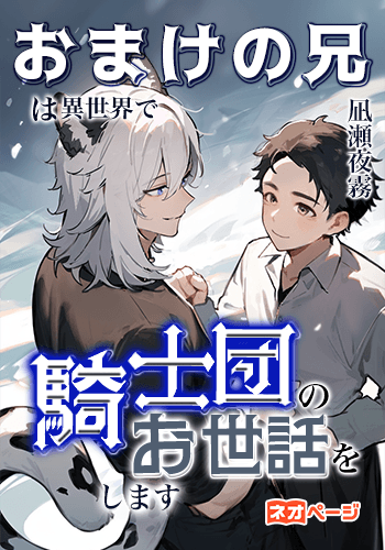 おまけの兄は異世界で騎士団のお世話をします