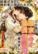 結婚式当日に婚約者に捨てられた私、三日後に東京一の財閥御曹司に嫁ぎました