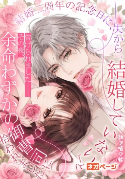 結婚二周年の記念日に、夫から「俺たちは結婚していない」と告げられました――その夜、余命わずかの御曹司に拾われました