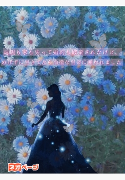 両親も家も失って婚約も破棄されたけど、めげずに生きてたら冷徹な皇帝に囲われました