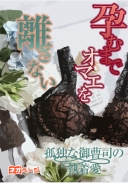 孕むまでオマエを離さない～孤独な御曹司の執着愛～