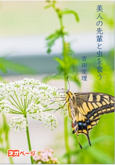 美人の先輩と虫を食う
