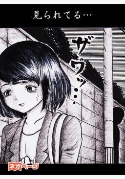 見られてる…