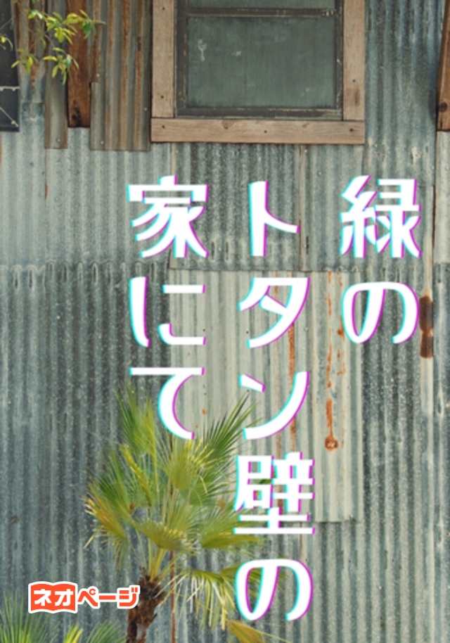 緑のトタン壁の家にて～叔母さんと一緒