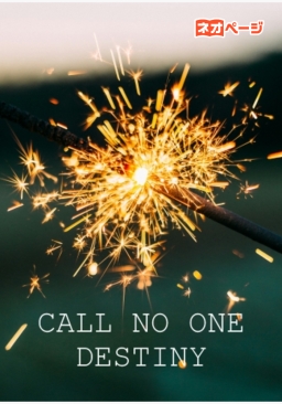CALL NO ONE DESTINY