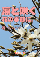 凛と咲く花の季節に。