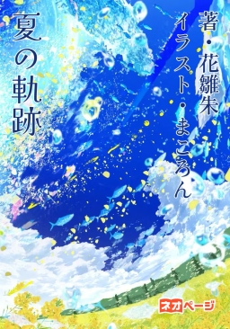 夏の軌跡