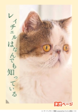 レイチェルはなんでも知っている