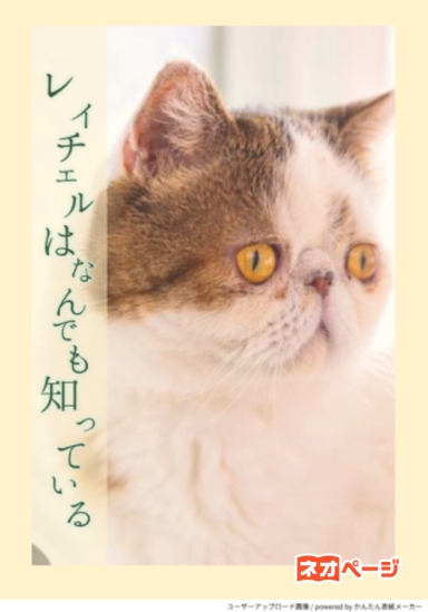 レイチェルはなんでも知っている