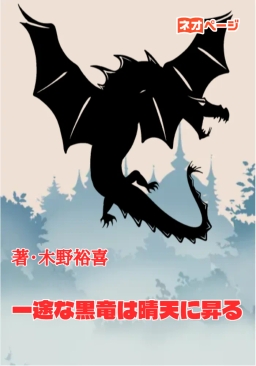 一途な黒竜は晴天に昇る