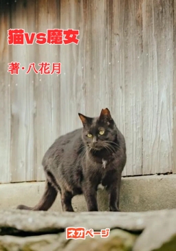猫vs魔女