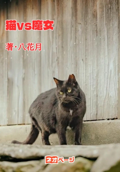 猫vs魔女