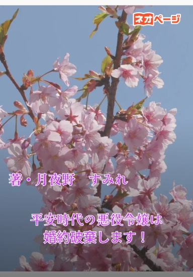 平安時代の悪役令嬢は婚約破棄します！