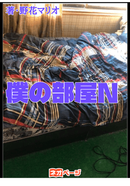 僕の部屋N