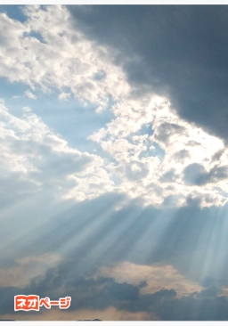 エンジェルラダー～舞い戻って、この腕に