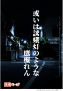 或いは誘蛾灯のような