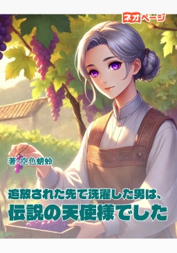 追放された先で洗濯した男は、伝説の天使様でした