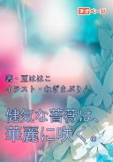 健気な薔薇は、華麗に咲く。