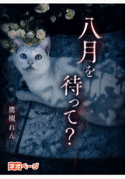 八月まで待って？