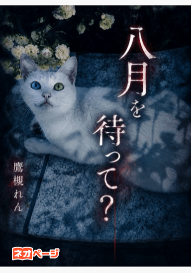 八月まで待って？