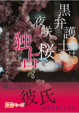 黒弁護士は夜咲く桜を独占する～過保護な愛に溶かされて～