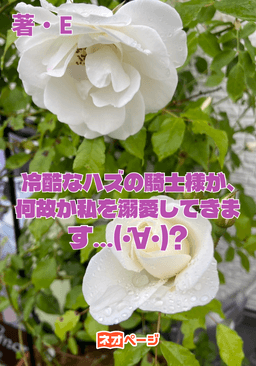 冷酷なハズの騎士様が、何故か私を溺愛してきます…(´・∀・)?