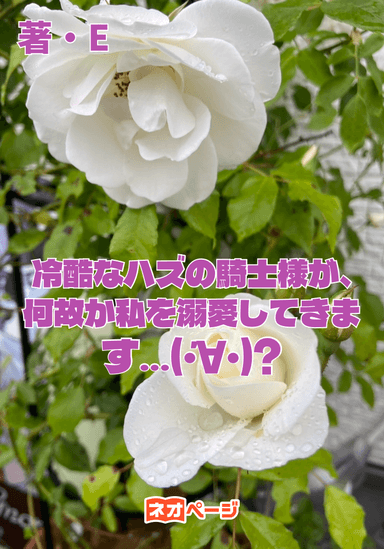 冷酷なハズの騎士様が、何故か私を溺愛してきます…(´・∀・)?