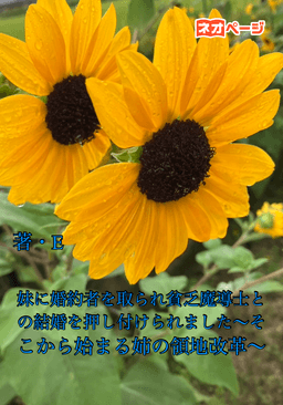 妹に婚約者を取られ貧乏魔導士との結婚を押し付けられました〜そこから始まる姉の領地改革〜