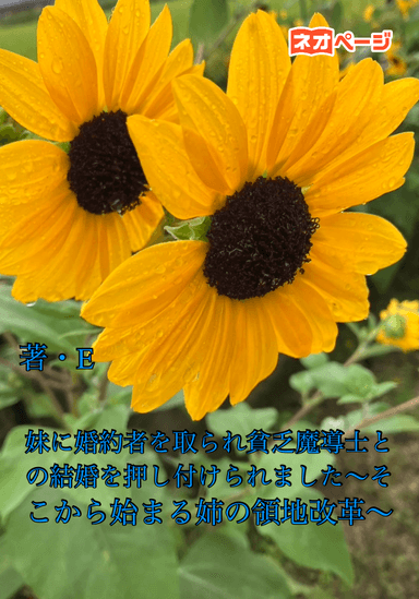 妹に婚約者を取られ貧乏魔導士との結婚を押し付けられました〜そこから始まる姉の領地改革〜
