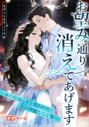 お望み通り消えてあげます～身の程知らずと笑われた私の華麗なる反撃～